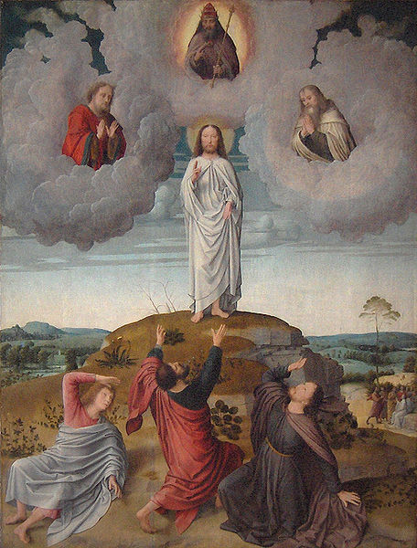 Transfiguration David.jpg