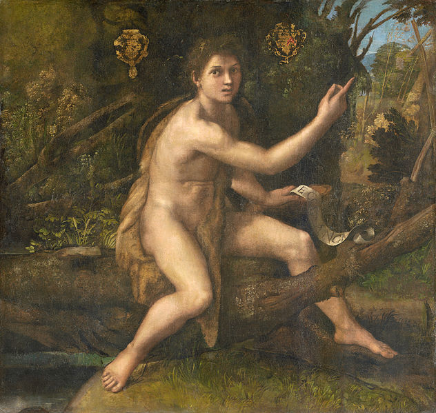 Young Baptist 1517 Raphael.jpg