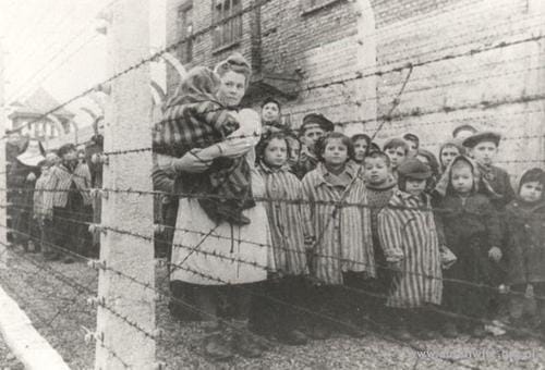 Liberation Birkenau Children.jpg