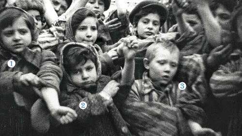 Auschwitz children2.jpg