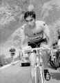 1945 Merckx (cycling).jpg