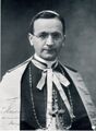 1898 Antoniutti (nuncio).jpg