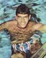 1950 Spitz (swimming).jpg
