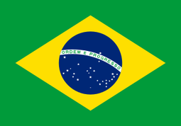 Brazilian flag.png