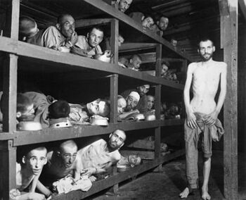 Wiesel Buchenwald.jpg