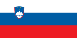 Slovenian flag.png