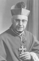1911+ Damiano (bishop).png
